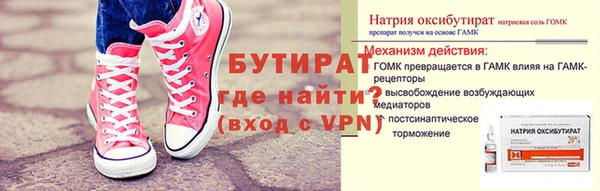 шишки Верея