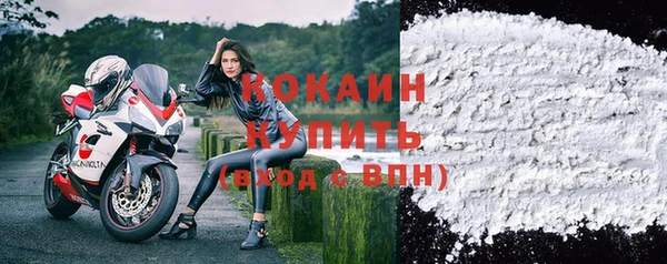 шишки Верея